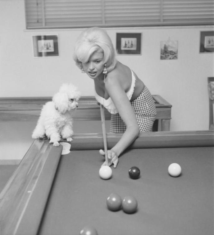 Marilyn-Monroe-and-Poodle-playing-pool-mafia-frank-sinatra-gift-regalo-perro-llamado-nombre-dato-curioso-cimpertinente-impertinente-blog-post-banda-colombiana-bogotana-trivia-fact-sabias